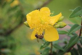 锐雯爆料代打视频下载安装,下载安装全过程解析  第2张