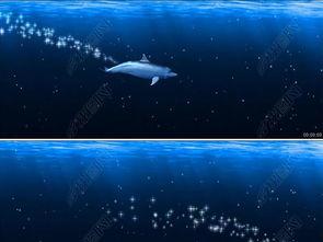 海洋之眼爆料视频最新